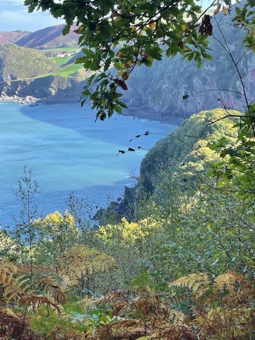 Linnet, Moor And Sea Holidays, Set Perfectly Between Exmoor And The Sea Lynton Eksteriør billede